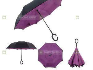 Dù gấp ngược gia lai