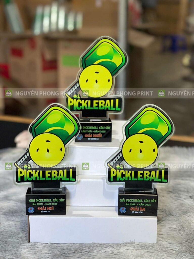 In kỷ niệm chương Pickleball đẹp tại Gia Lai