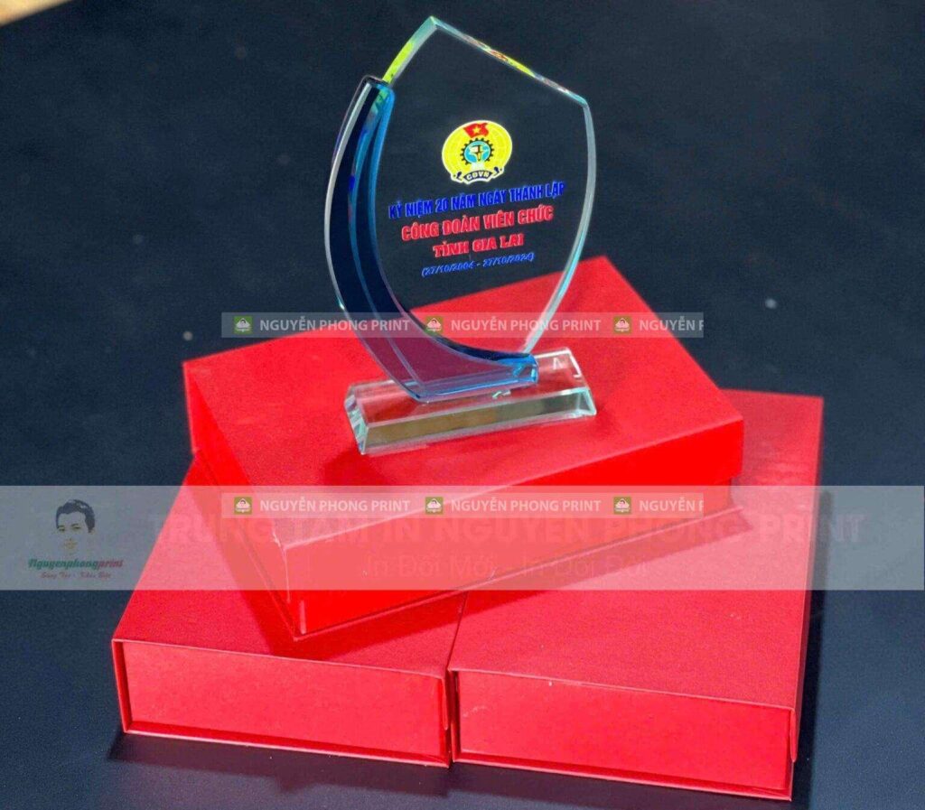 10+ Mẫu Kỷ Niệm Chương Vinh Danh Phường Bình Định Đẹp