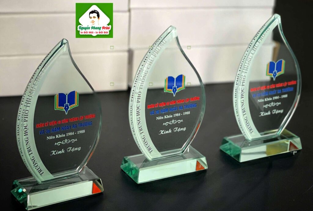 Top 7 Lý Do Bạn Nên Chọn Dịch Vụ In Cúp Lưu Niệm Hội Phú Gia Lai Giá Xưởng