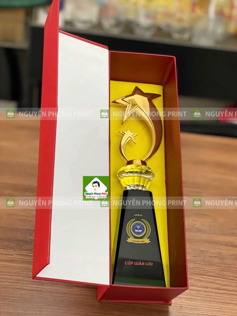 Top 10+ mẫu kỷ niệm chương vinh danh Phường Bình Định đẹp