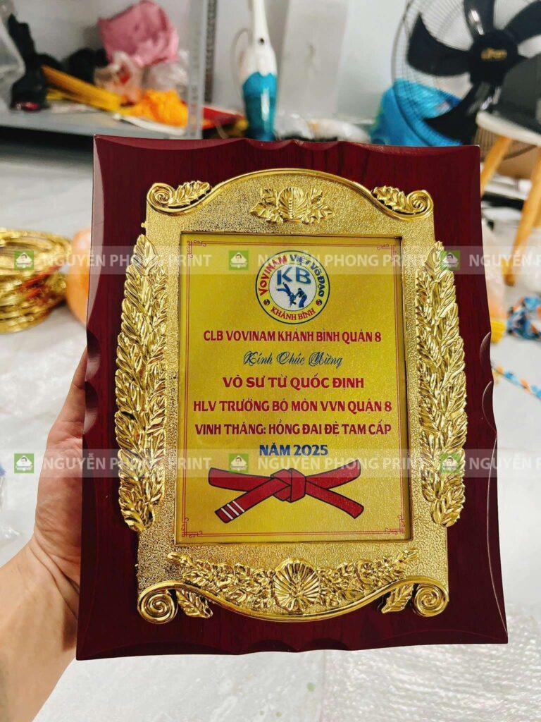 Top 7 Lý Do Bạn Nên Chọn Dịch Vụ In Cúp Lưu Niệm Hội Phú Gia Lai Giá Xưởng