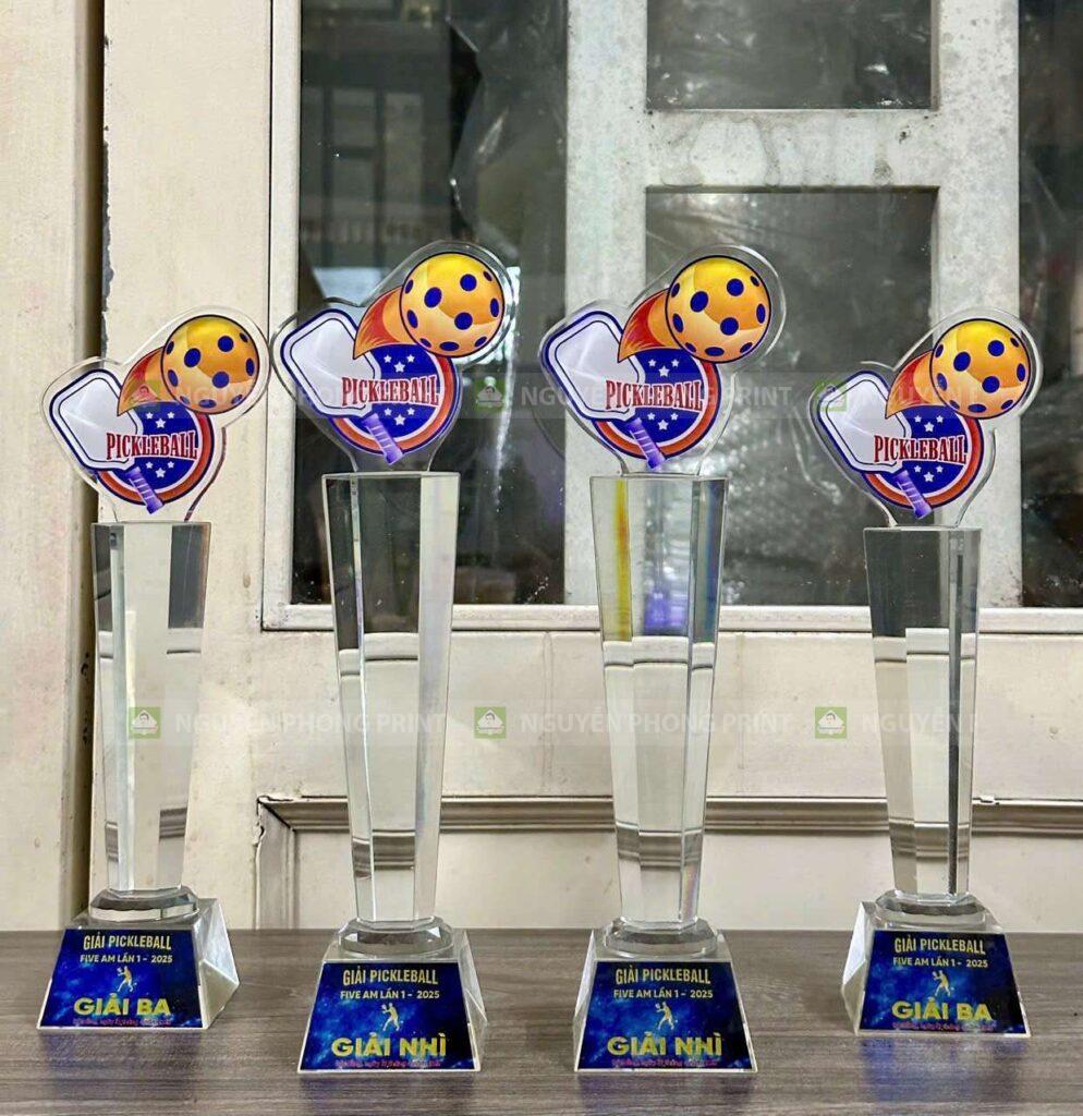 Top 7 Lý Do Bạn Nên Chọn Dịch Vụ In Cúp Lưu Niệm Hội Phú Gia Lai Giá Xưởng