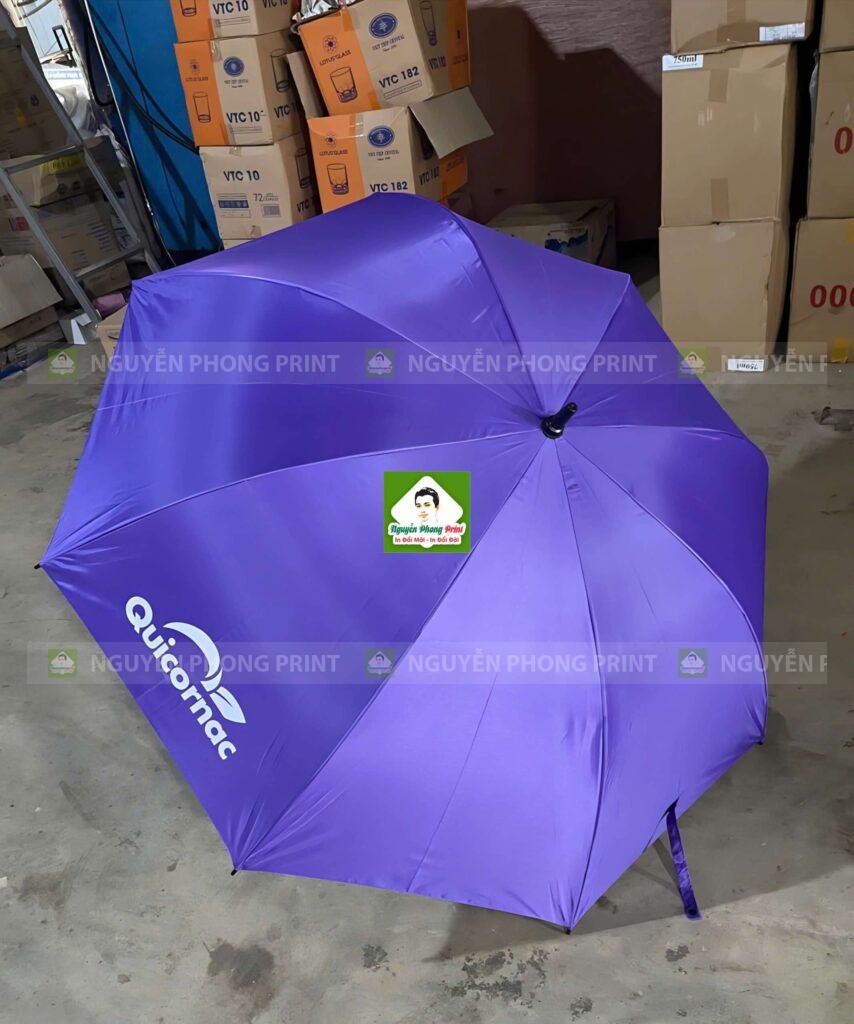 Xưởng In Ô Dù Tại Bình Định Số Lượng Ít, Giá Tốt.